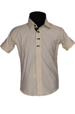 Детская рубашка в мелкий рисунок (Арт. B T 0602K)