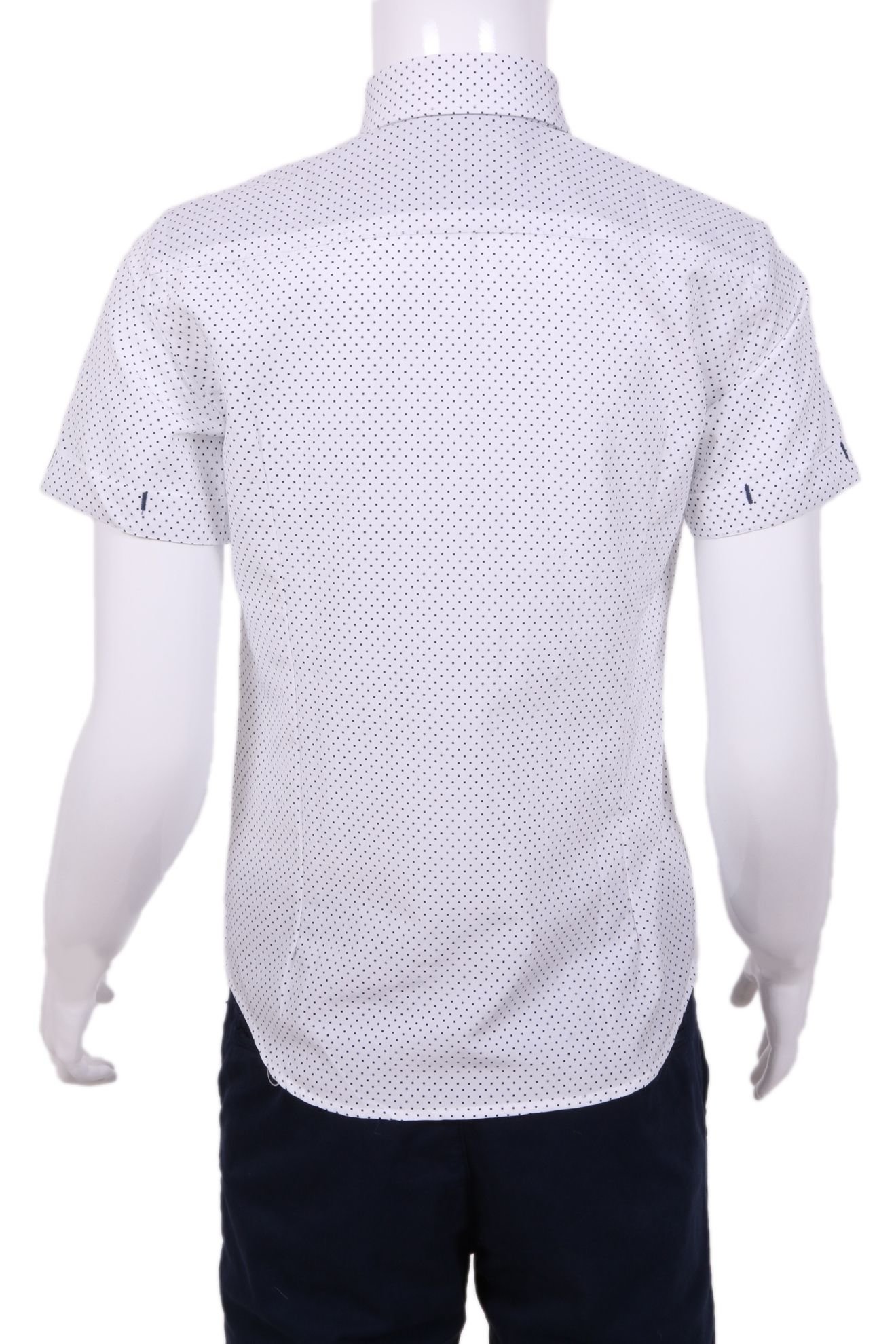 Детская рубашка в мелкий горох (Арт. TB 1337K)